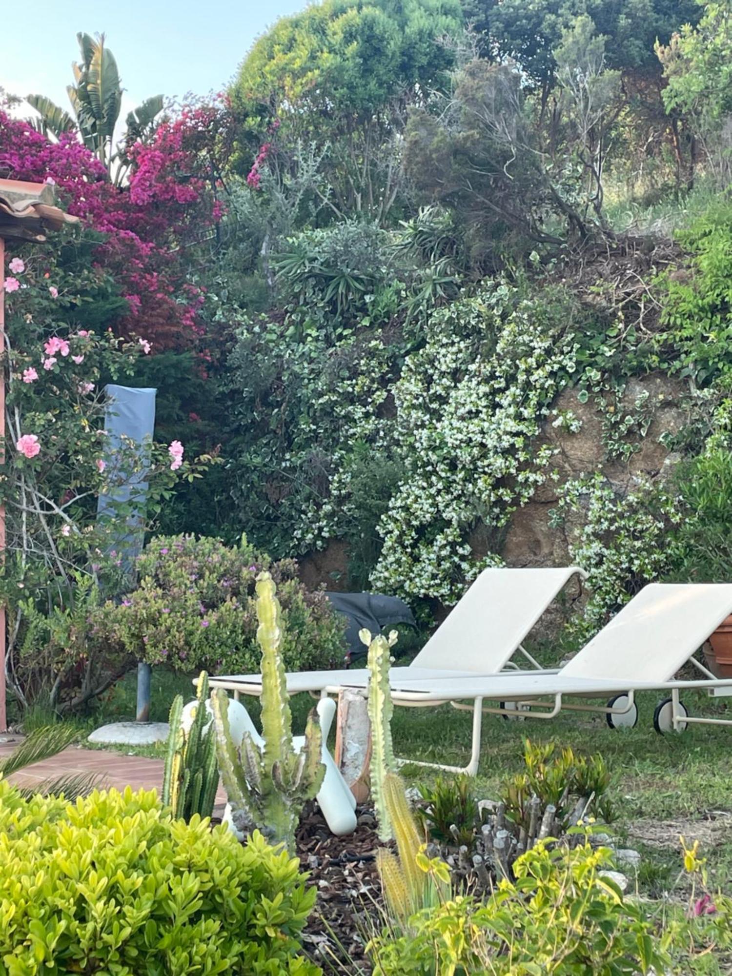 Maison De Lou 波尔蒂乔 外观 照片